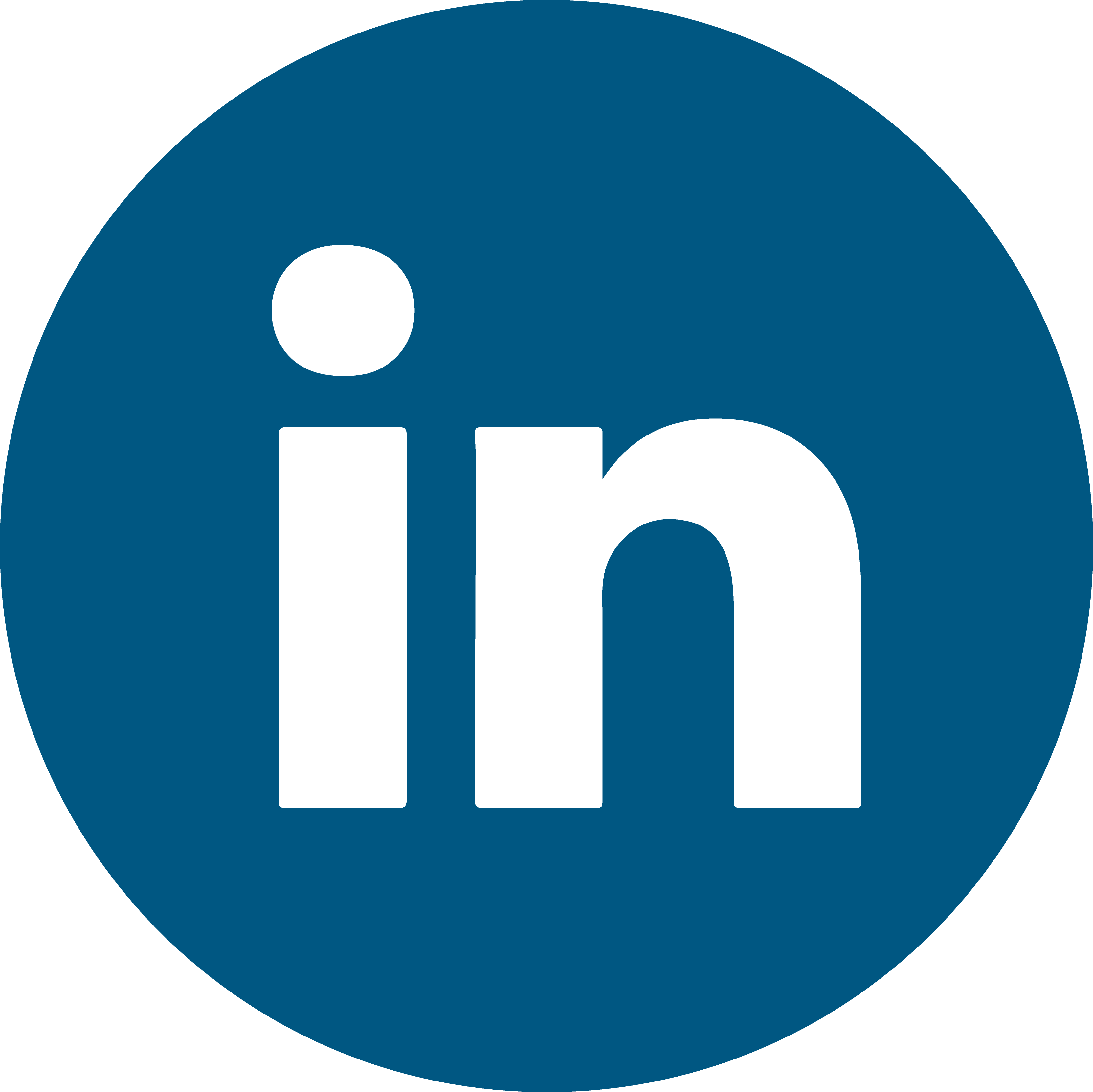 LinkedIn Logo Icon.